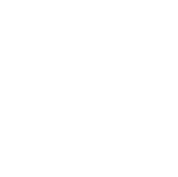 Loose On Earth logo